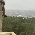 アパート Panoramic View And Free Parking *