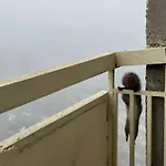 Panoramic View And Free Parking * ヴィリニュス