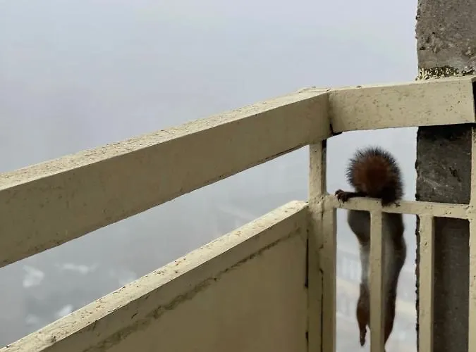 Panoramic View And Free Parking * Vilnius