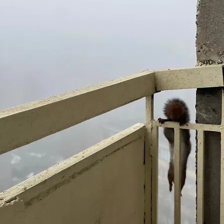 Panoramic View And Free Parking * Вільнюс
