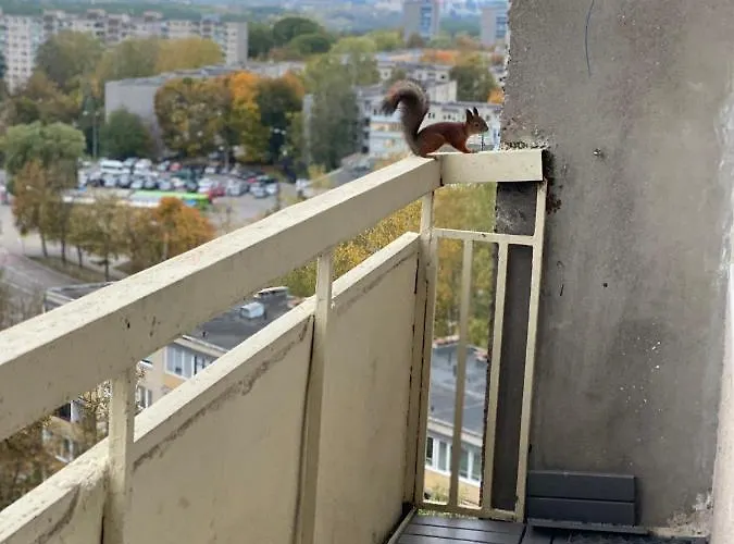 Panoramic View And Free Parking ヴィリニュス