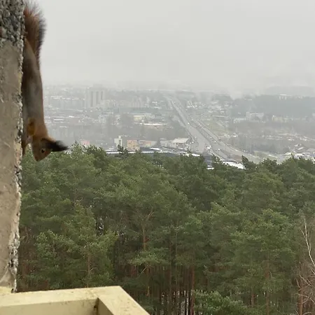 Апартаменты Panoramic View And Free Parking *